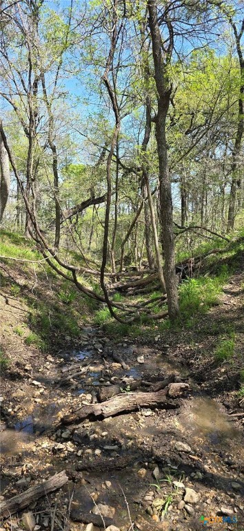 Tbd Rosanky Rd, Tract 4 Property Photo 10