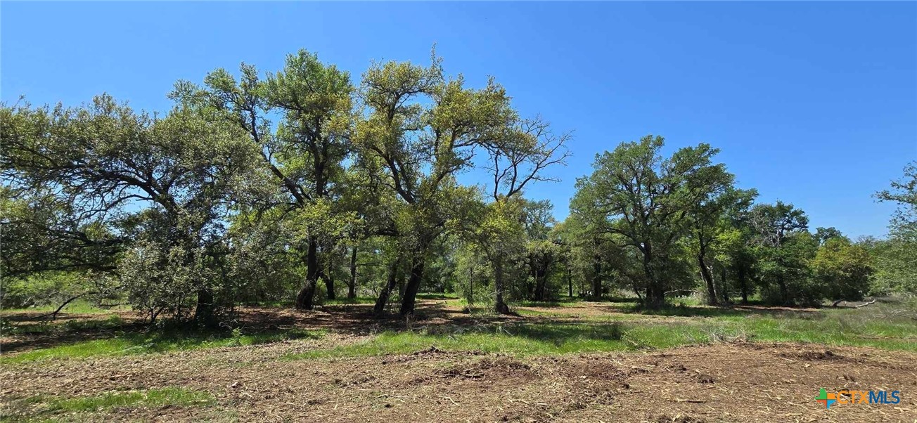 Tbd Rosanky Rd, Tract 4 Property Photo 11