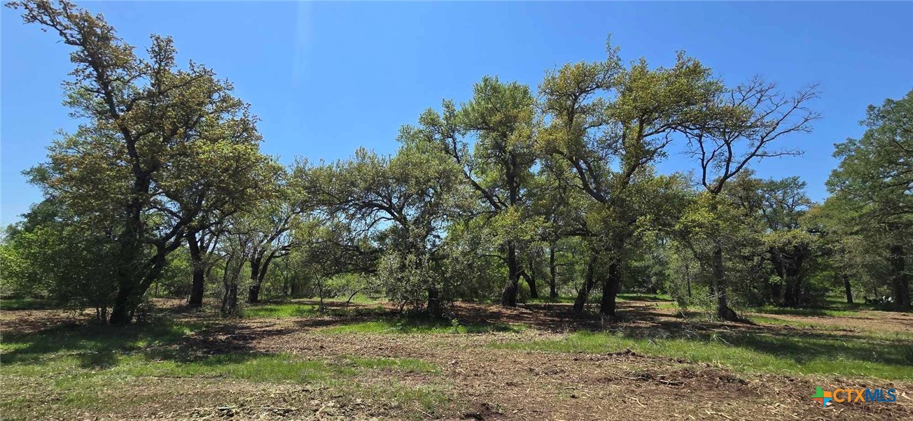Tbd Rosanky Rd, Tract 4 Property Photo 12