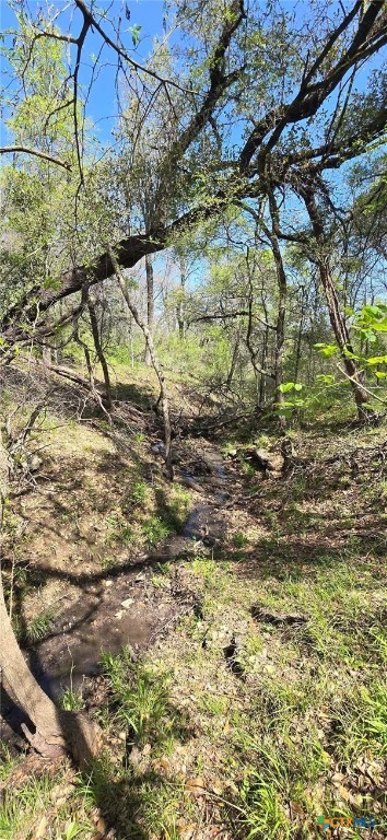 Tbd Rosanky Rd, Tract 4 Property Photo 13