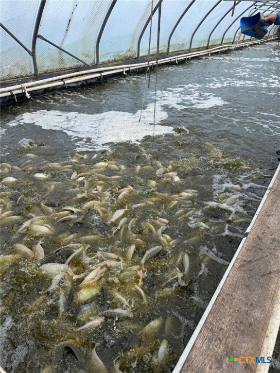 293 Fm-2040 Property Photo 7