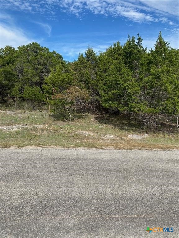 15950 Brazos Drive Property Photo 1