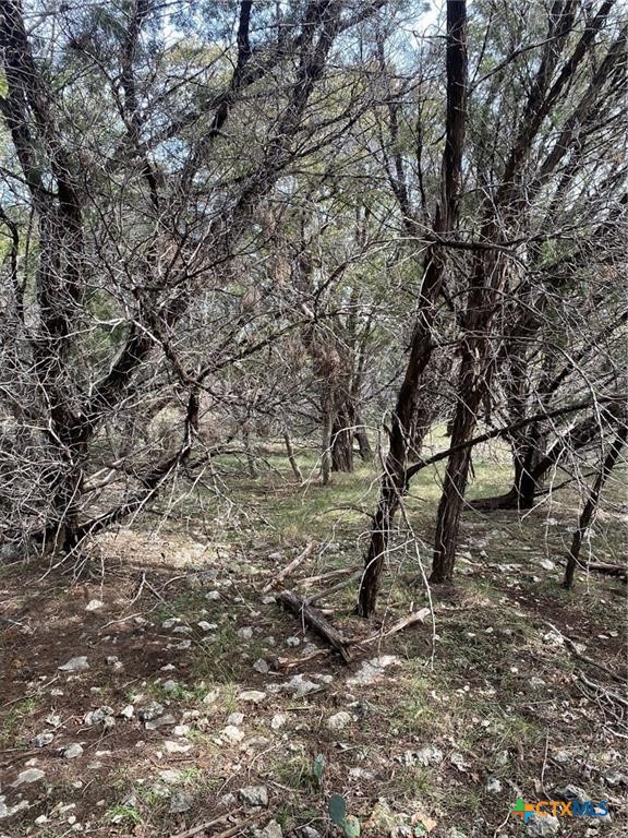 15950 Brazos Drive Property Photo 3