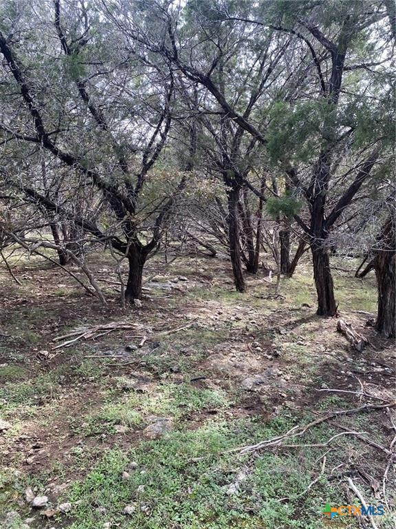 15950 Brazos Drive Property Photo 4