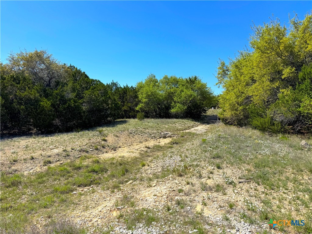 Tbd Cielo Vista Property Photo 5