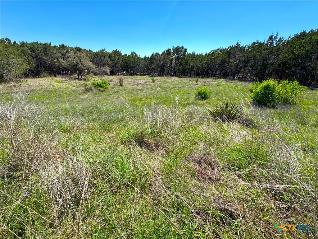 Tbd Cielo Vista Property Photo 9