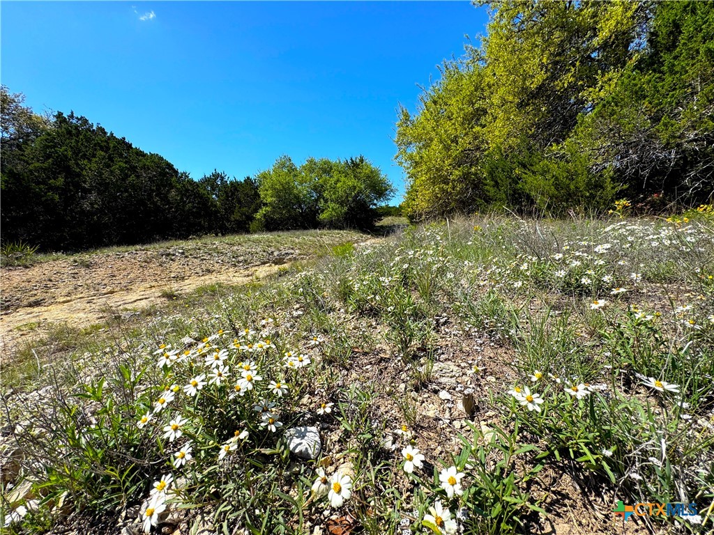 Tbd Cielo Vista Property Photo 10