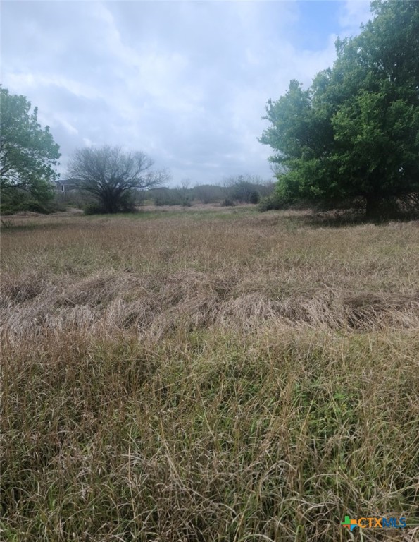 Tbd Zac Lentz Parkway Property Photo 4