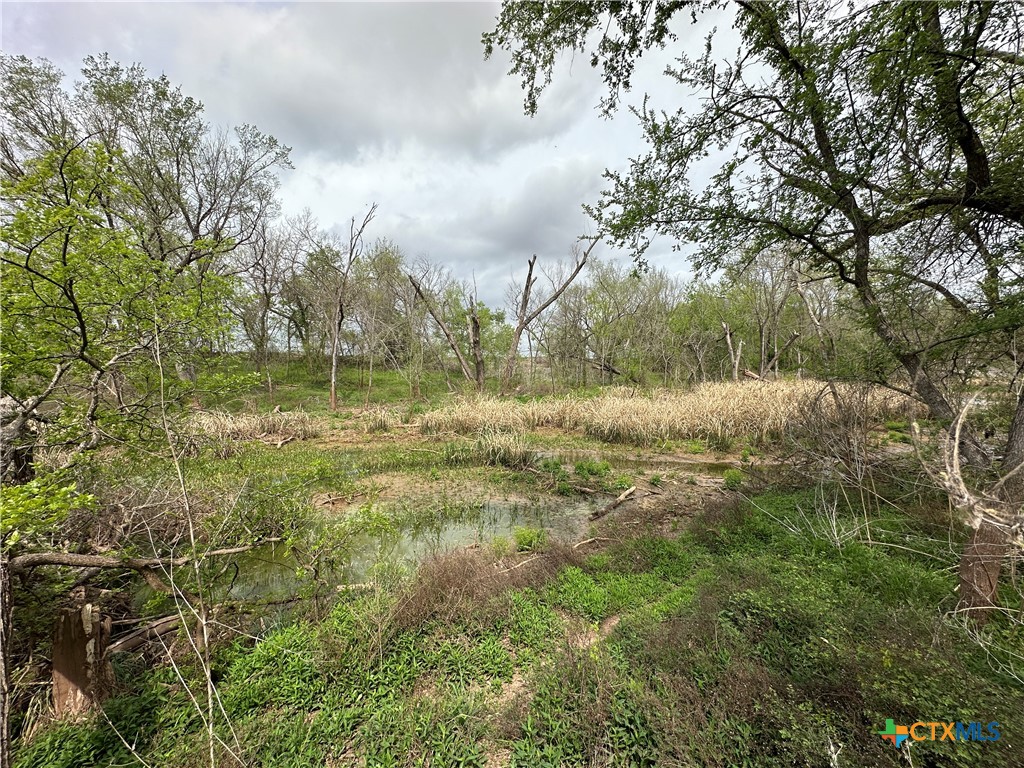 909 Fm 712 Property Photo