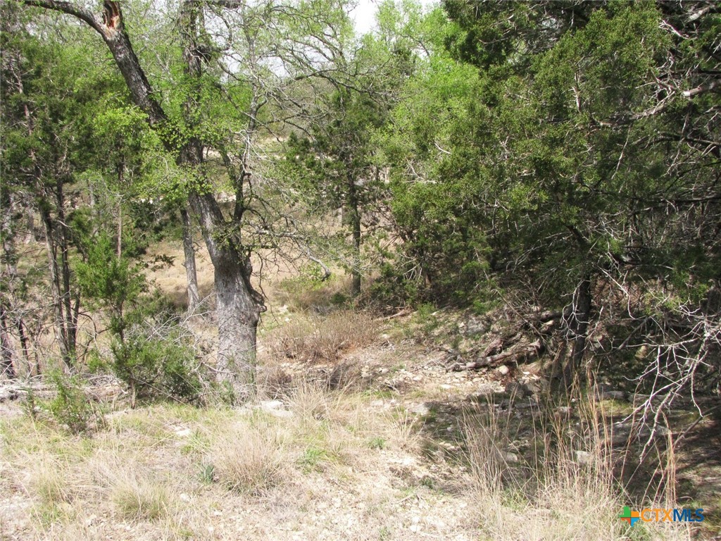 Lot 16 Ph 5 Private Road Property Photo 10