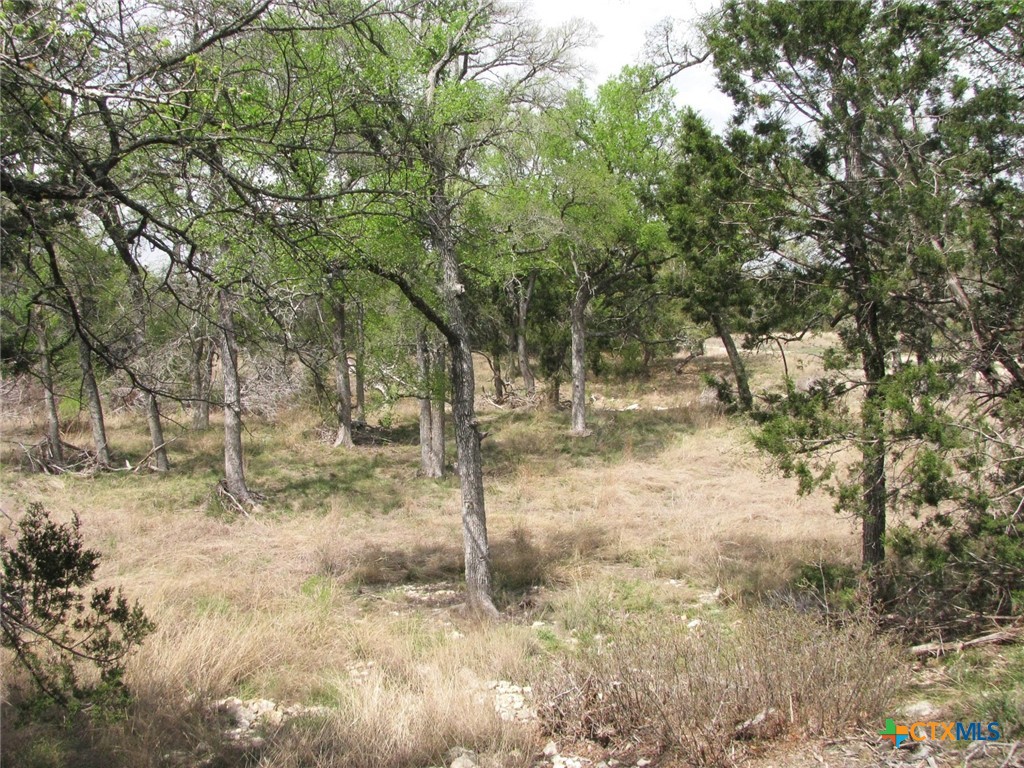 Lot 16 Ph 5 Private Road Property Photo 12