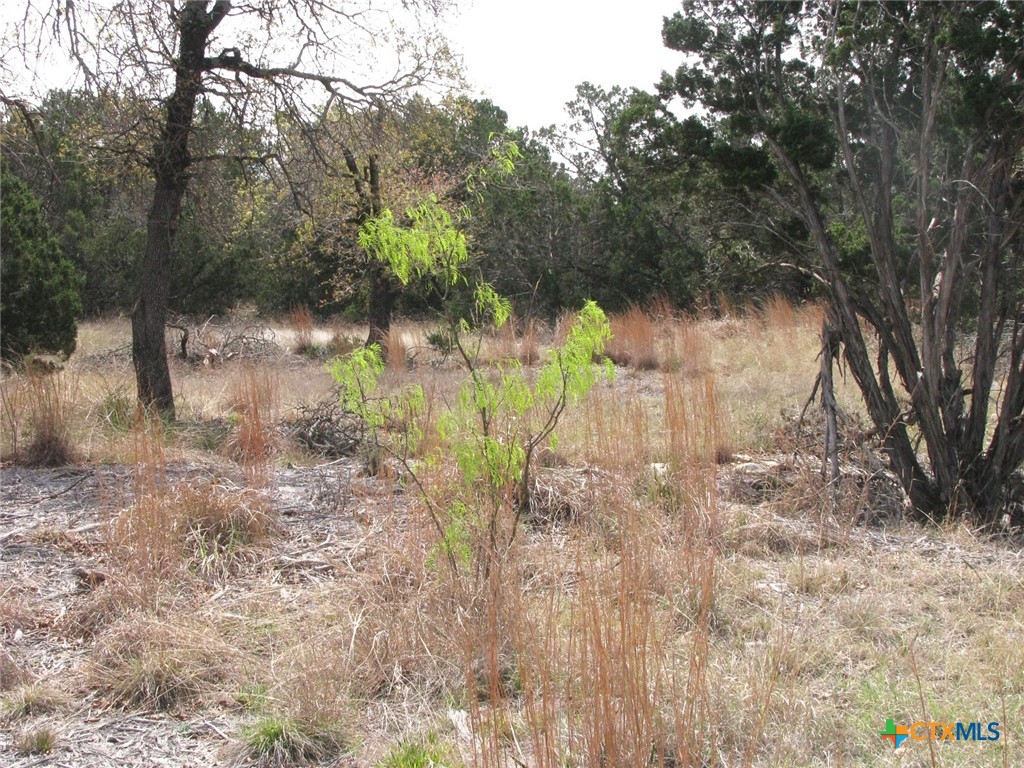 Lot 16 Ph 5 Private Road Property Photo 17