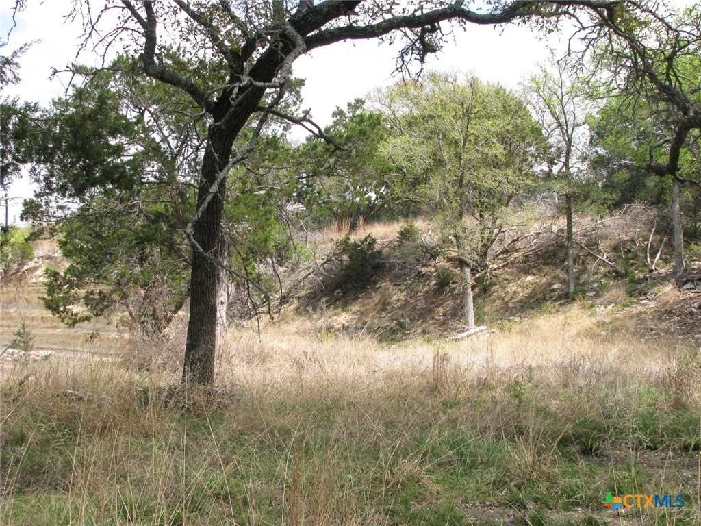 Lot 16 Ph 5 Private Road Property Photo 19