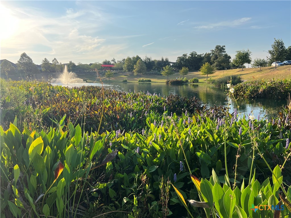 608 Mallow Road Property Photo 40