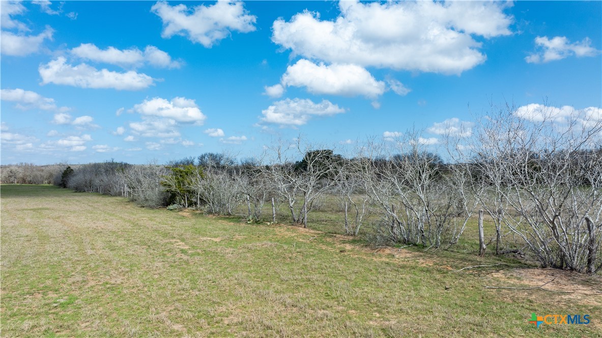 Lot 3 Mule Creek Road Property Photo 7