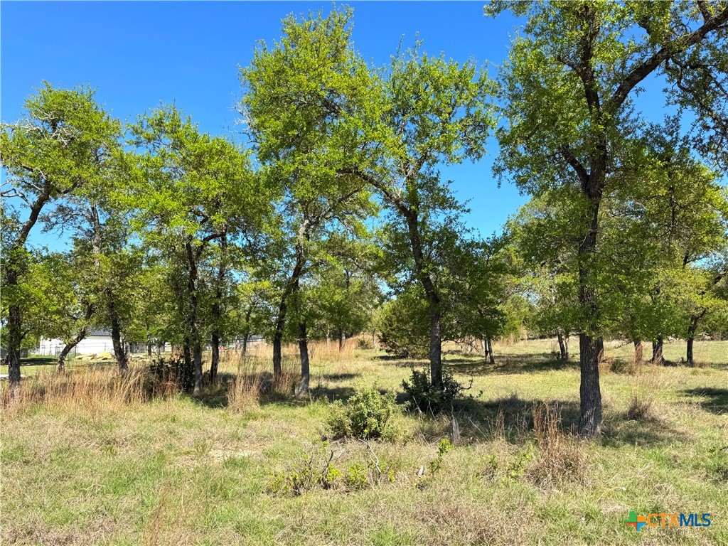 2305 Bella Vista Property Photo 2