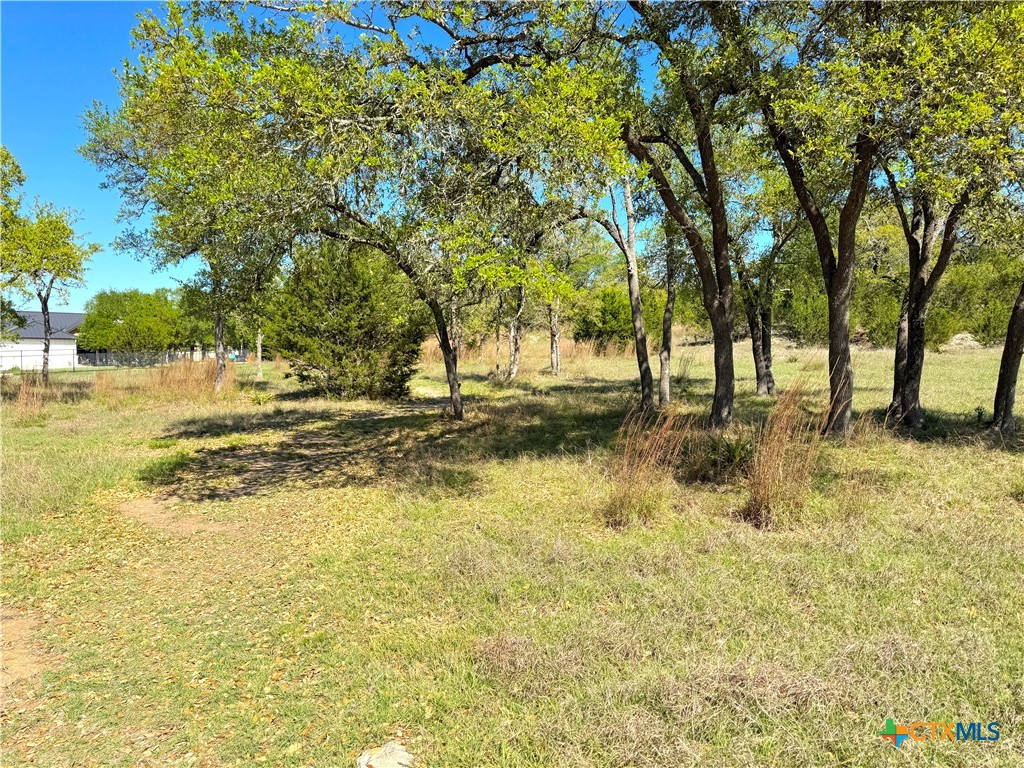 2305 Bella Vista Property Photo 9