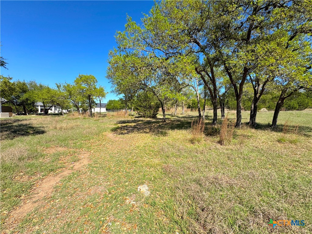 2305 Bella Vista Property Photo 16