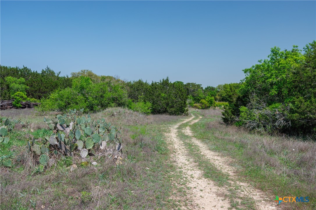 901 Piedras Pass Property Photo 6