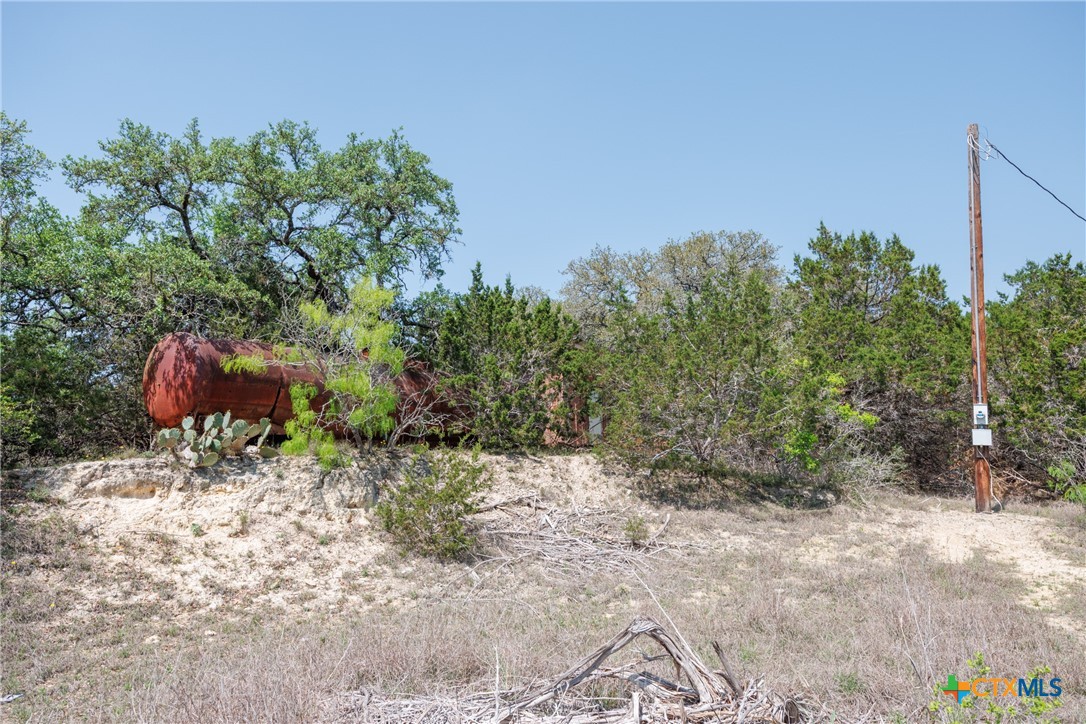 901 Piedras Pass Property Photo 8