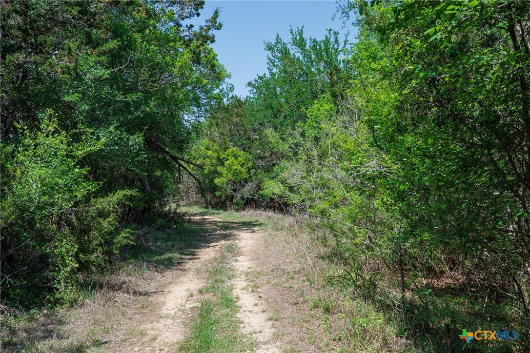901 Piedras Pass Property Photo 10