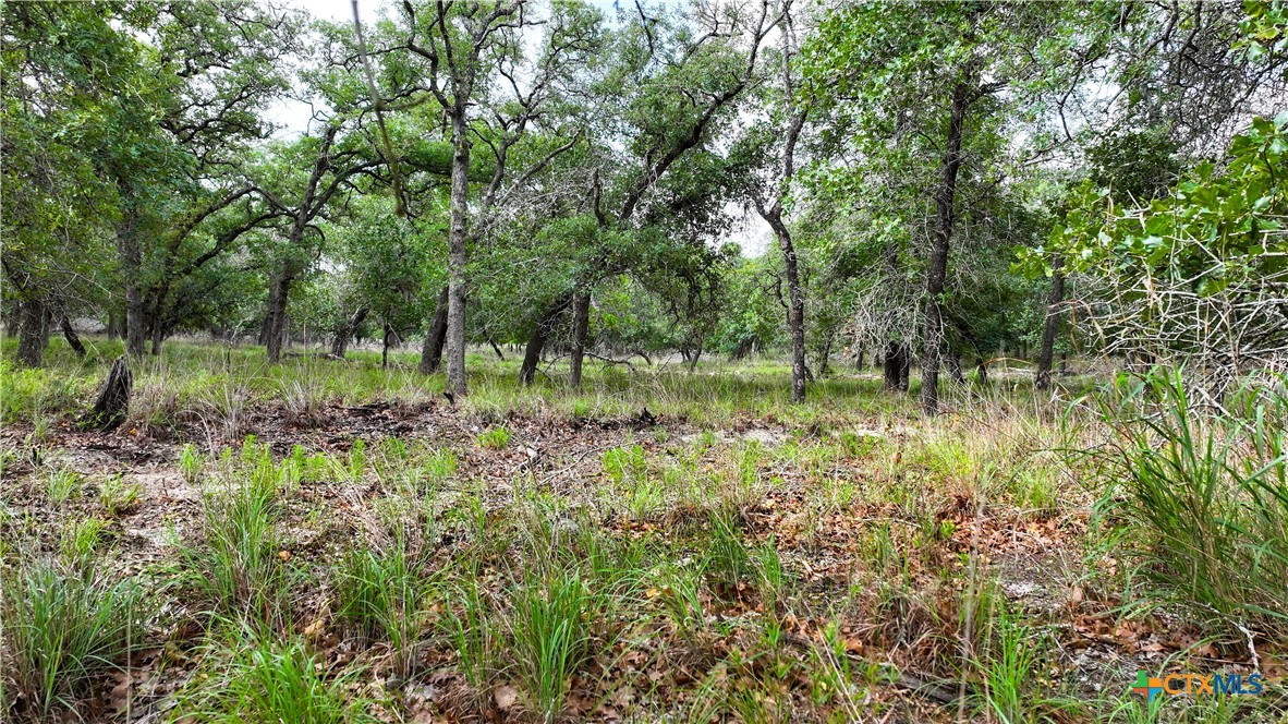 Tract 11 Sandstone Ln Property Photo 10
