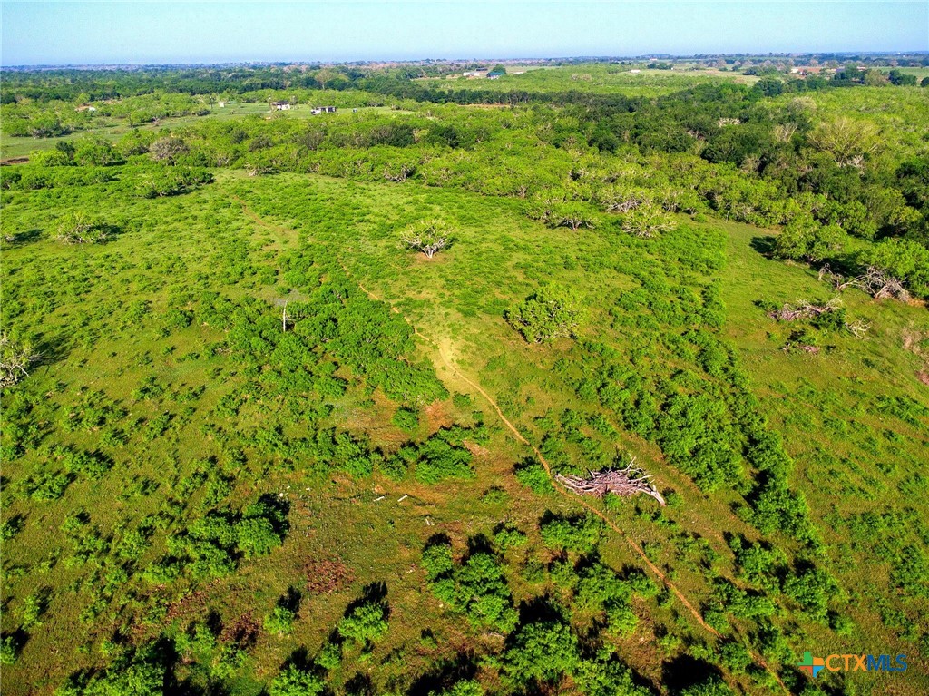 Tbd County Road 447 Property Photo 1
