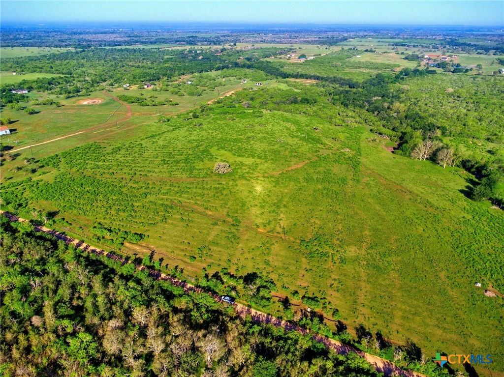 Tbd County Road 447 Property Photo 3