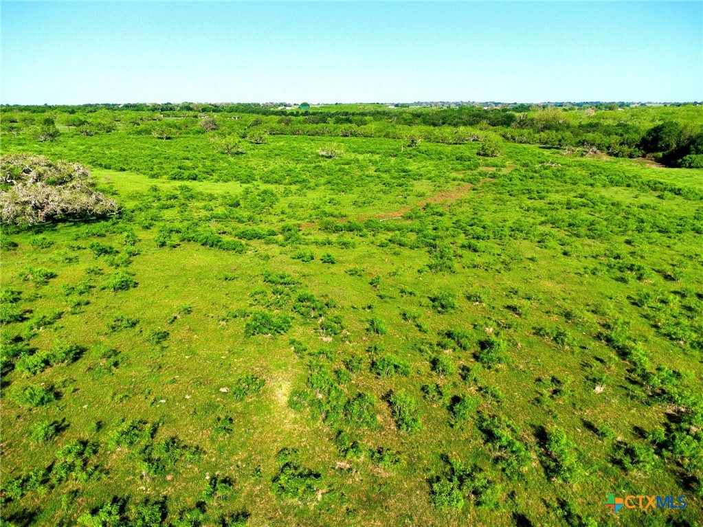 Tbd County Road 447 Property Photo 11