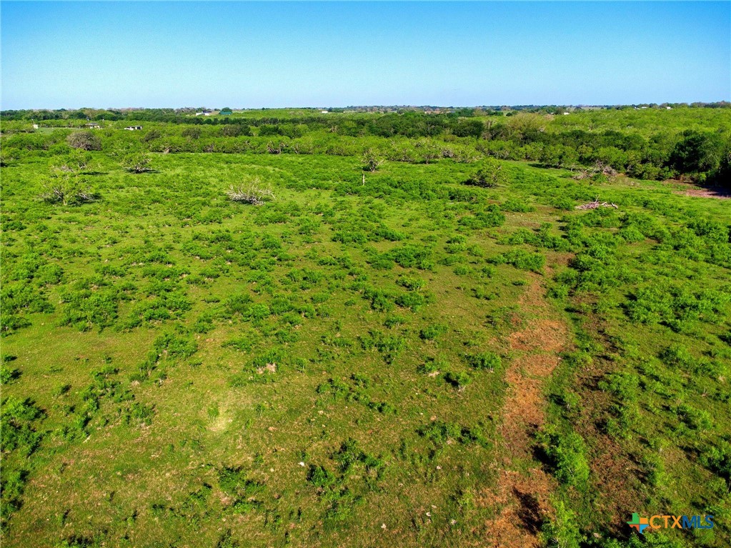 Tbd County Road 447 Property Photo 12