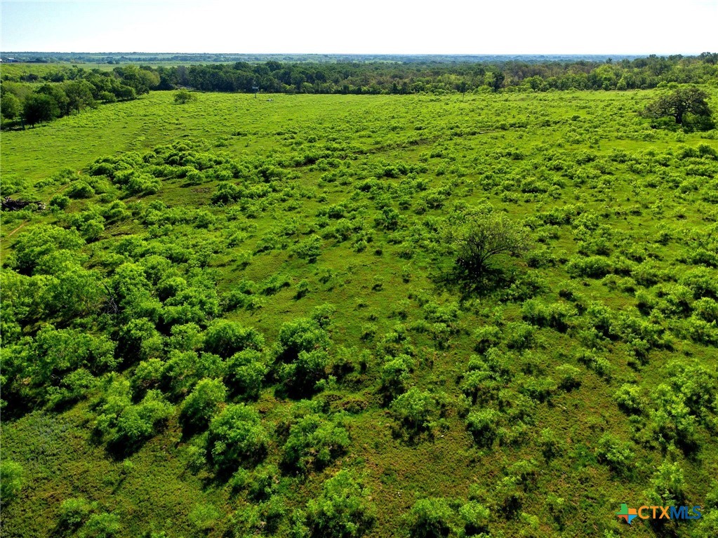 Tbd County Road 447 Property Photo 13