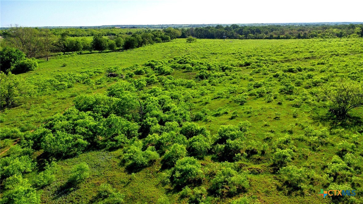 Tbd County Road 447 Property Photo 14