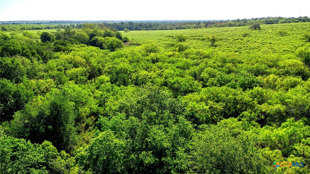 Tbd County Road 447 Property Photo 15