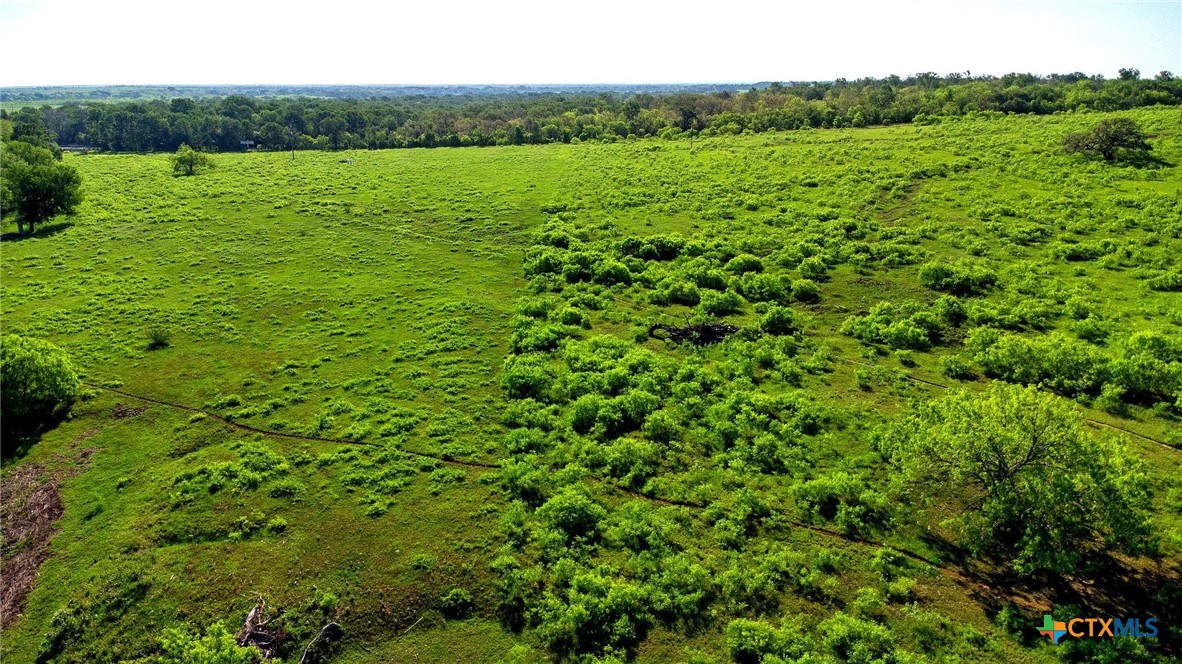 Tbd County Road 447 Property Photo 16