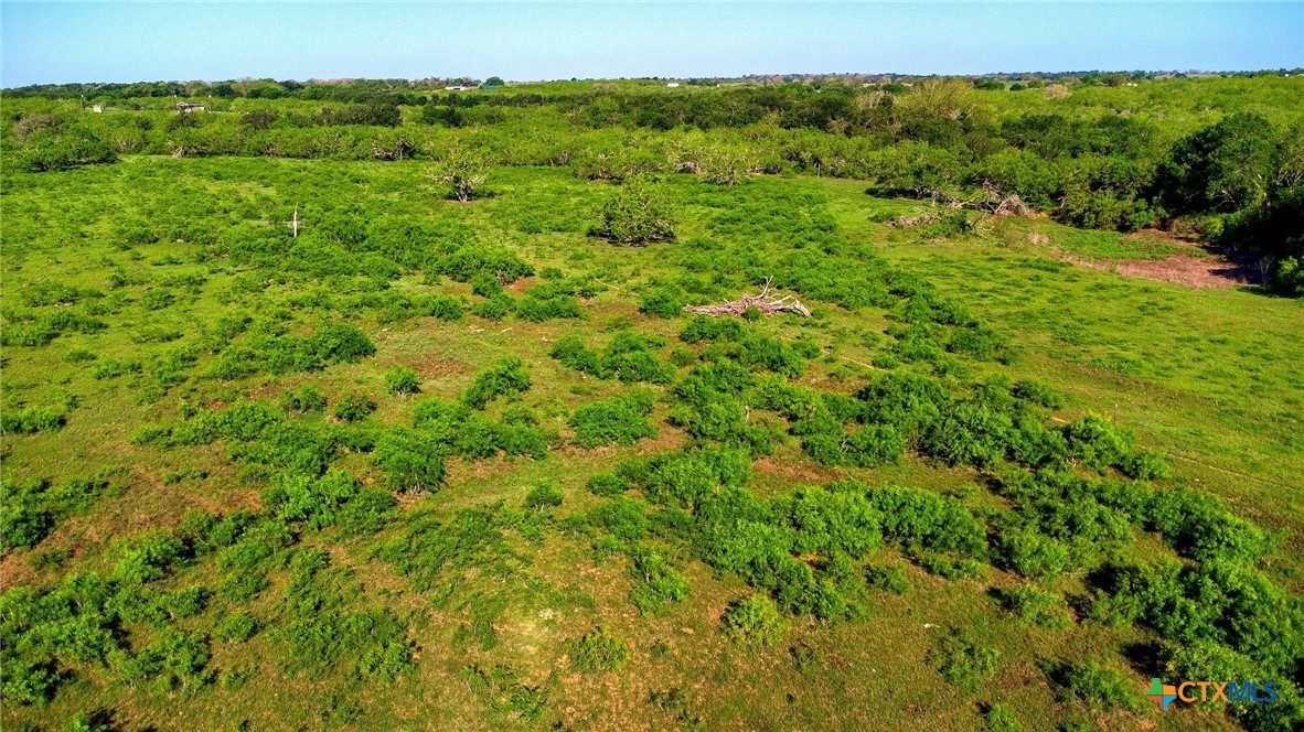 Tbd County Road 447 Property Photo 19