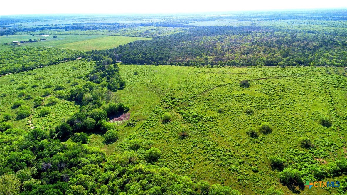 Tbd County Road 447 Property Photo 20