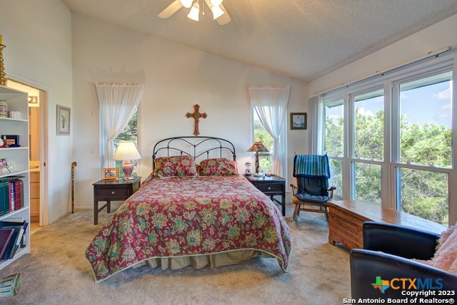 1254 Village Shore Drive Property Photo 11