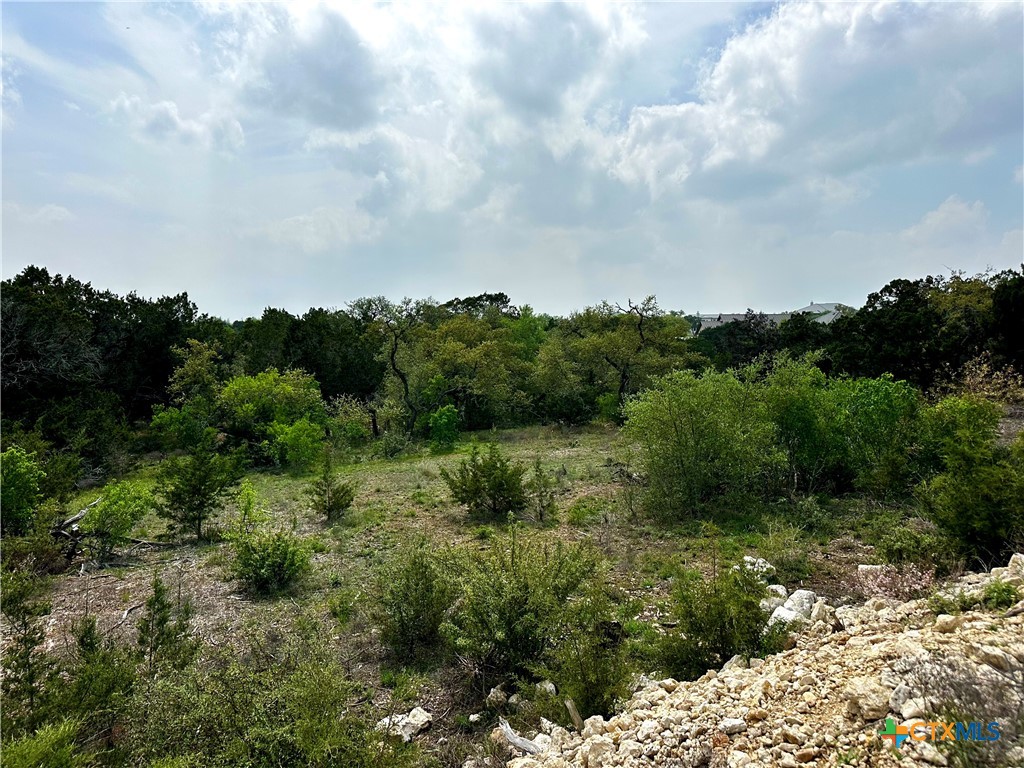 5271 Comal Vista Property Photo 9