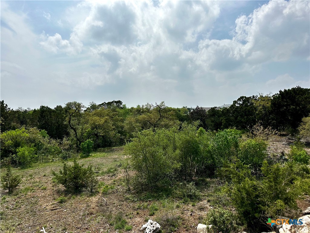 5271 Comal Vista Property Photo 10