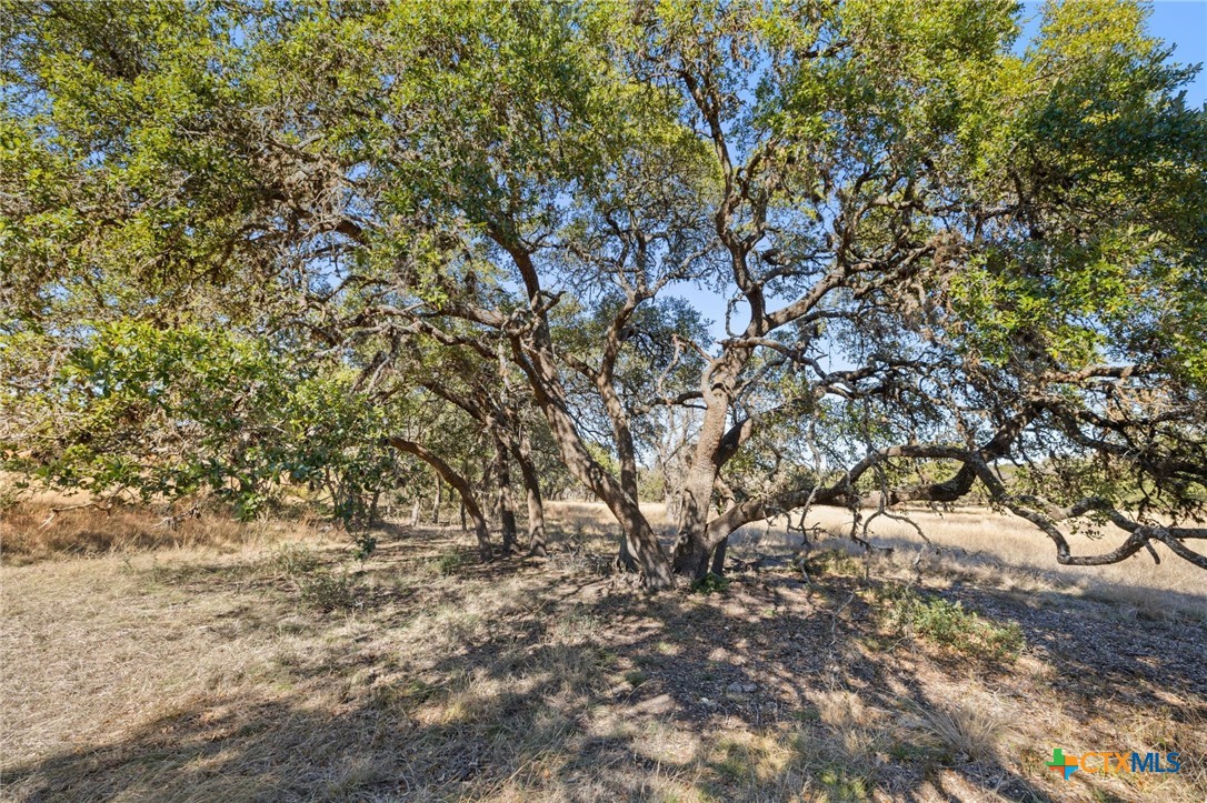 1364 N Walnut Springs Road Property Photo 14