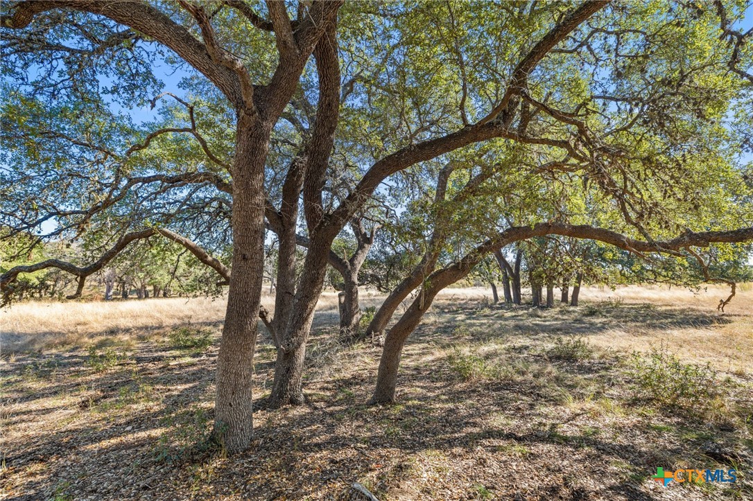 1364 N Walnut Springs Road Property Photo 17