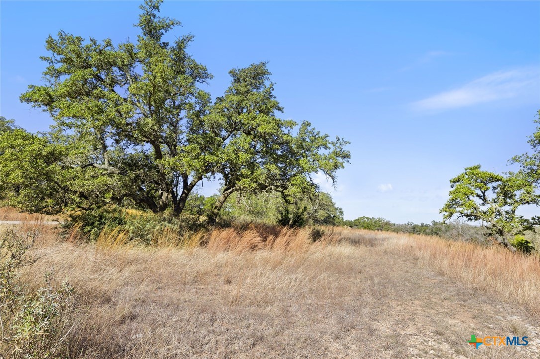 1364 N Walnut Springs Road Property Photo 18