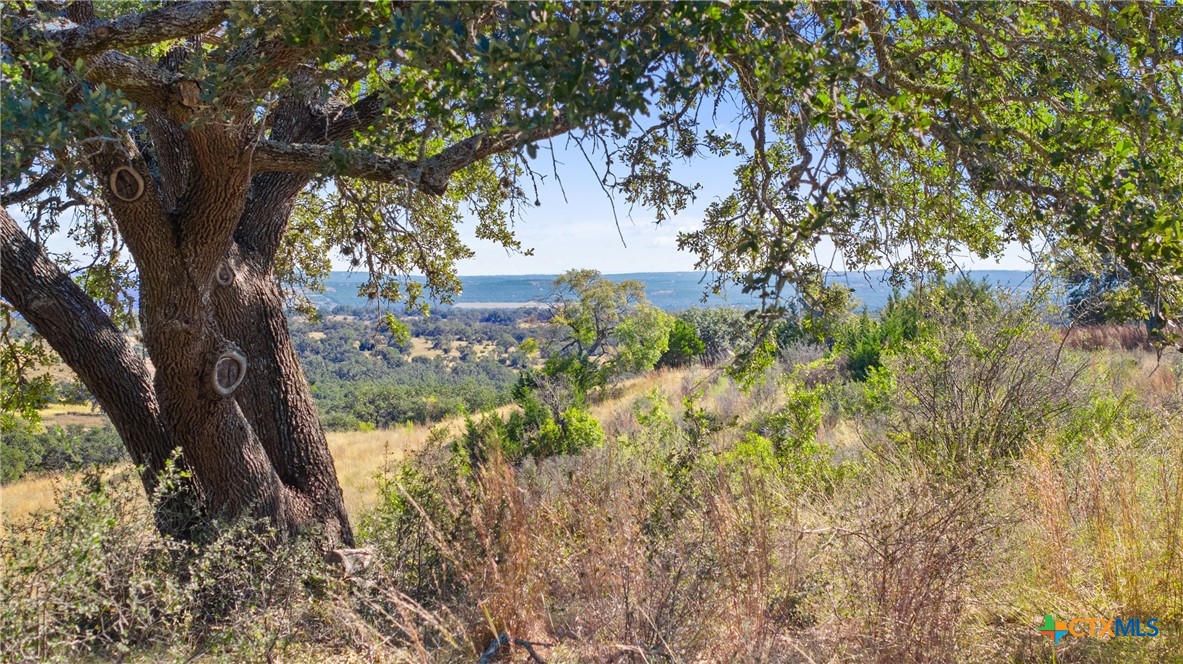 1484 Summit Ridge Trail Property Photo