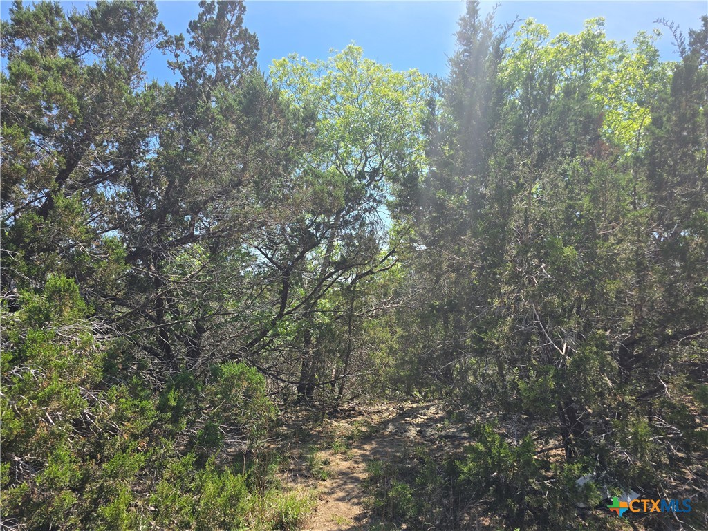Tbd Cliff Drive Property Photo