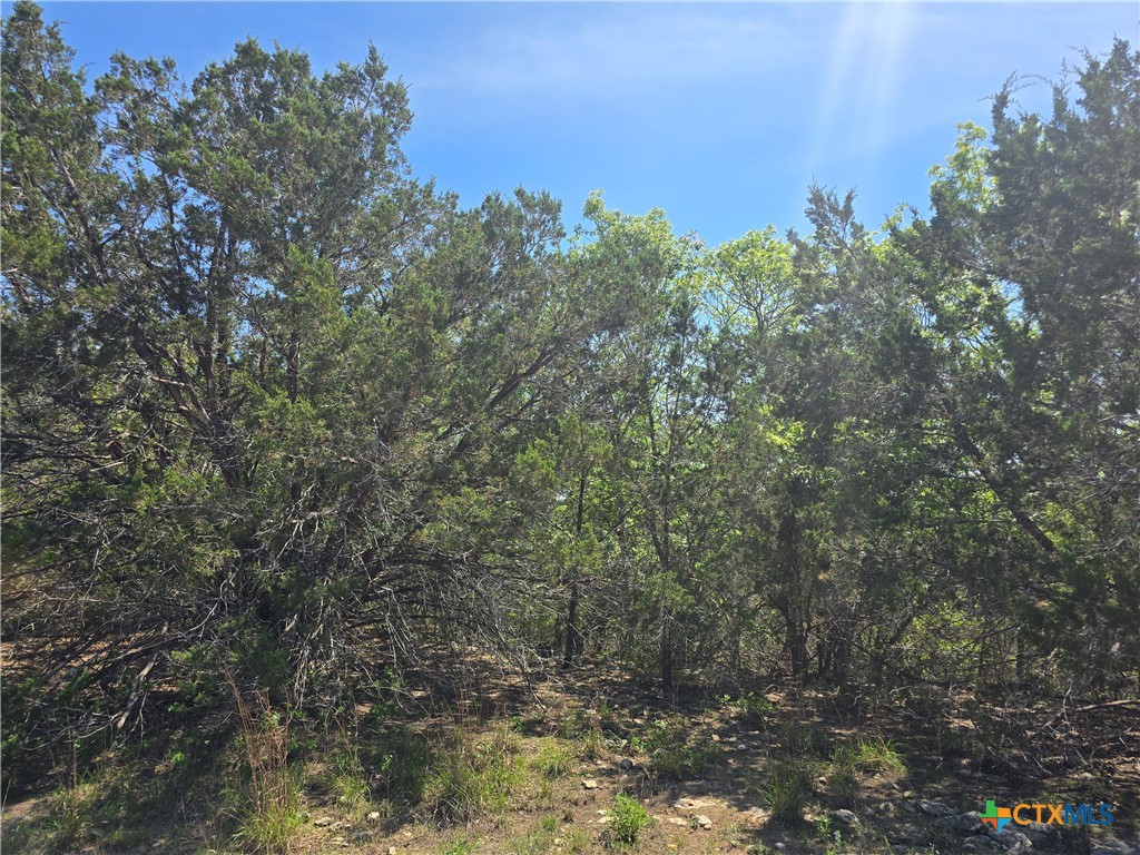 0 Tbd Cliff Drive Property Photo 1
