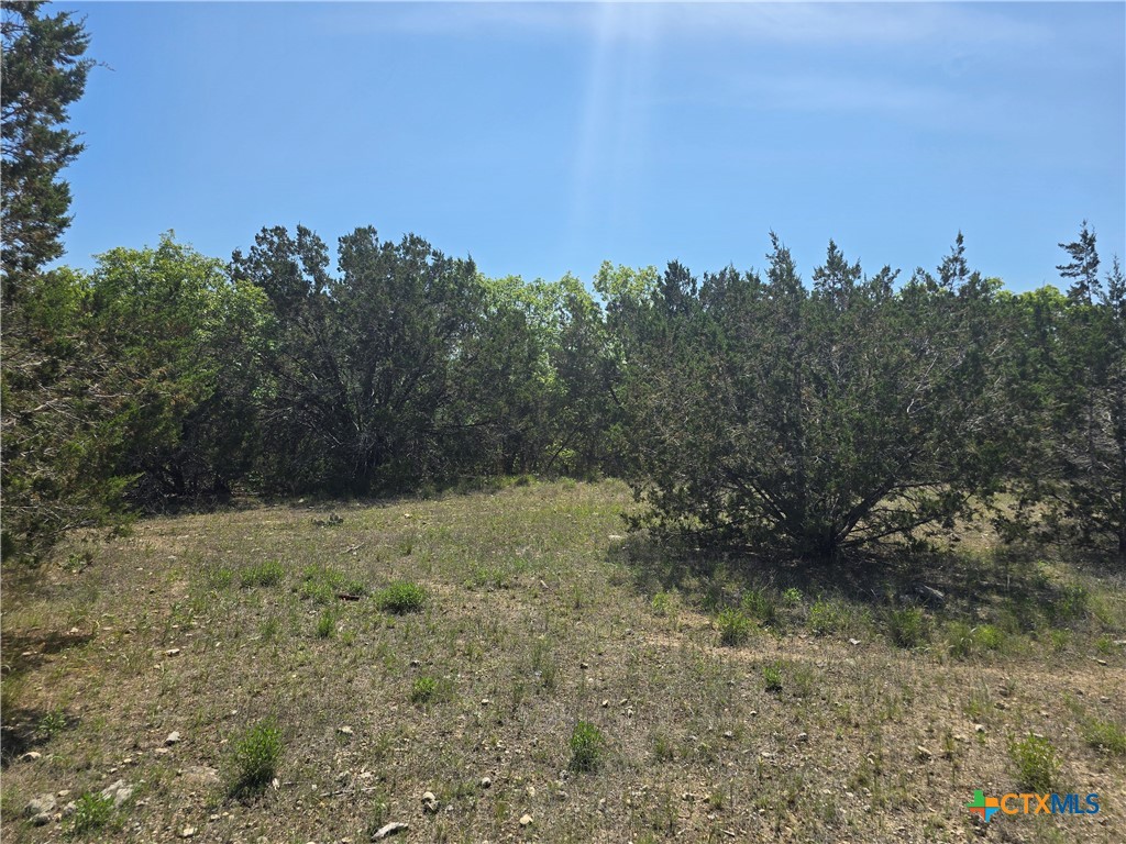 0 Tbd Cliff Drive Property Photo 2