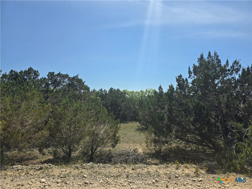 0 Tbd Cliff Drive Property Photo 4