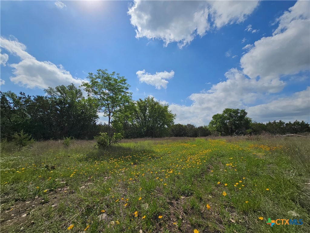 Tbd Fm 215 Property Photo