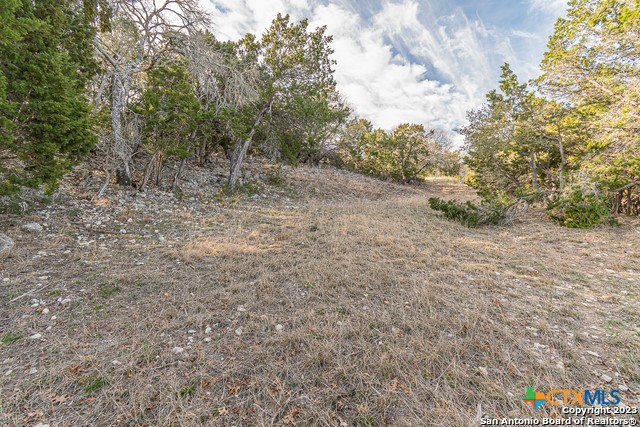 124 Calhoon Property Photo 14