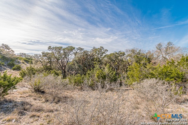126 Riddle Road Property Photo 15